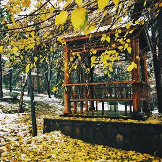  Today the city is covered with glistening snow and peppered with coloured foliage. Tehran sure is a looker on a snowy autumn day. :) ☃ 
