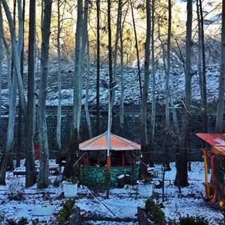  I hadn't seen snow in years... The perks of being back home  