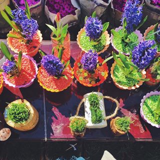  Me and my maman's tradition of buying hyacinths last minute.  Let the spring begin... #nowruz #persiannewyear #springgirl 