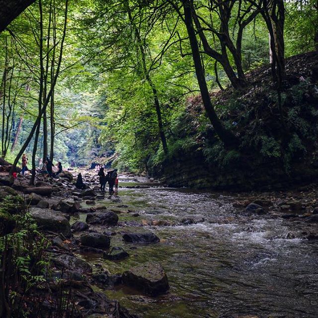 I find myself near waterfalls streams and meandering rivers wayhellip