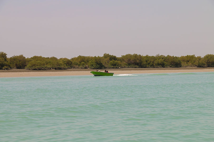 Qeshm island, the untold side of the Persian Gulf